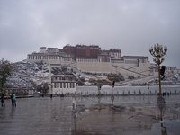 照片