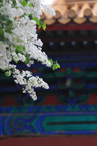 照片
