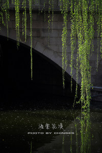 照片