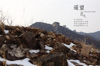 照片