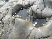 照片