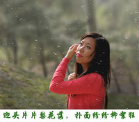照片