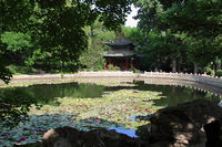照片