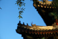 照片