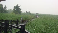 照片