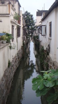 照片