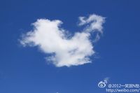 照片