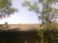 照片