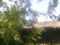 照片