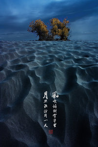 照片