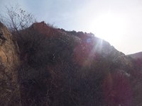 照片