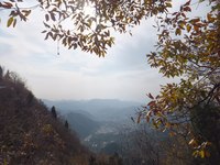照片