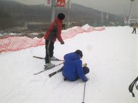 照片