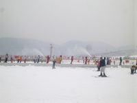 照片