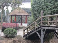 照片
