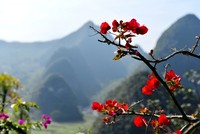 照片