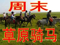 5月24—26日草原骑马，免费吃烤全羊特色豆腐宴篝火狂欢活动