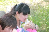 照片