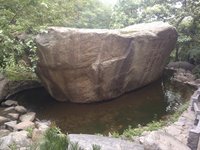 照片
