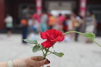 照片