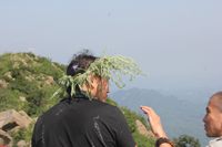照片