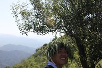 照片