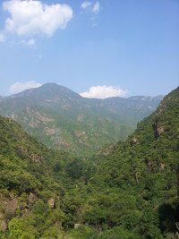 照片