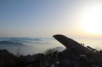 照片