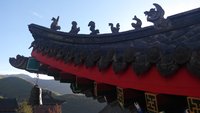 照片