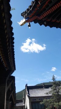 照片