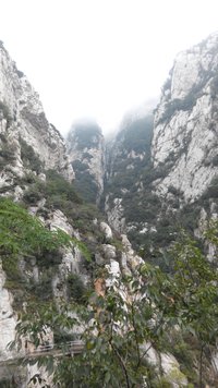 照片