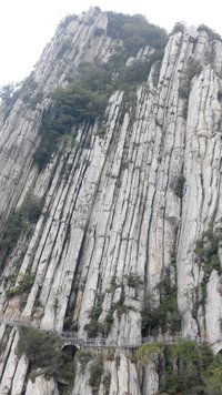 照片