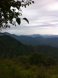 照片