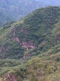 照片
