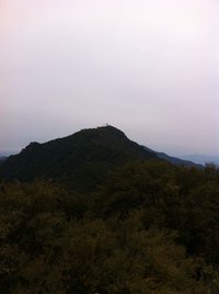 照片