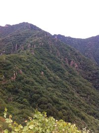 照片