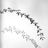 照片