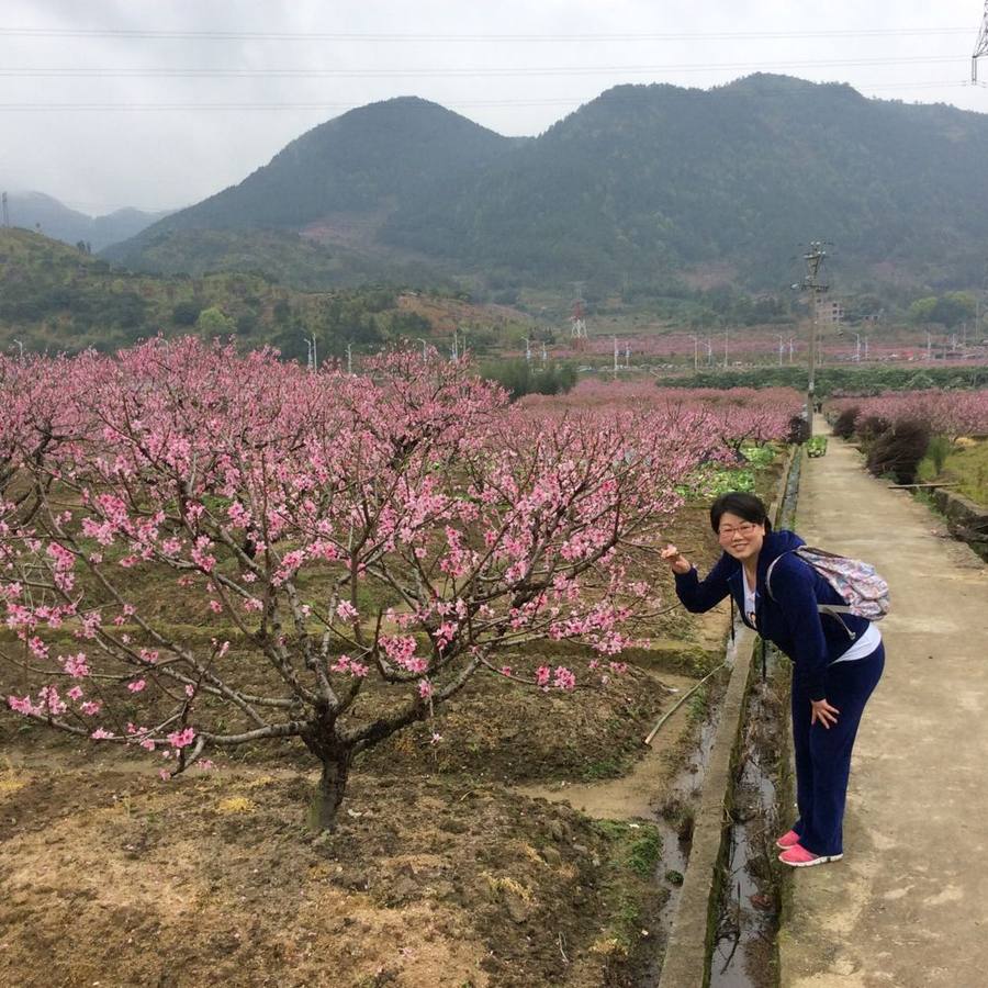 2015年3月22日福安穆阳桃花游