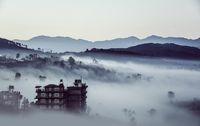 照片