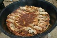 照片