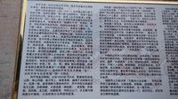照片