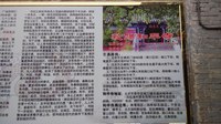 照片