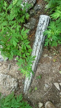 照片