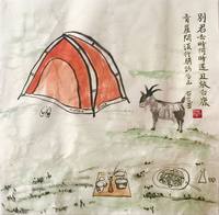 照片