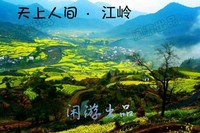 照片