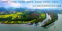照片