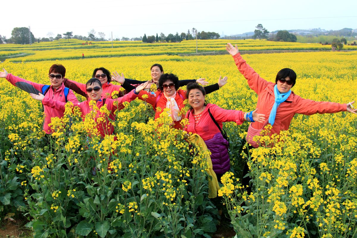 温榆迁客的相册-高淳慢城油菜花