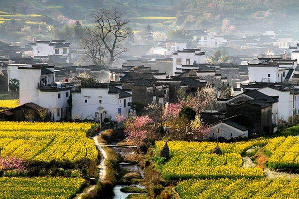 代买火车票,赏江西婺源江岭万亩梯田油菜花,逛徽州古建筑