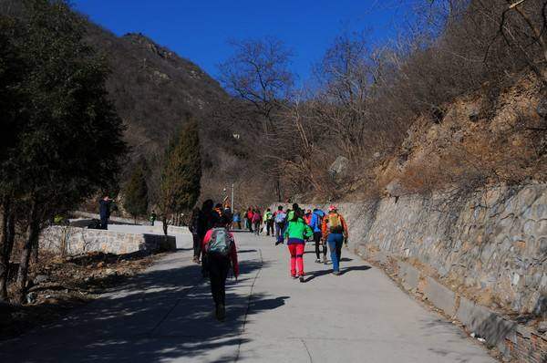 香八拉是北京驴友的拉练路线,全称是"香山到八大处拉练,也叫野香山.