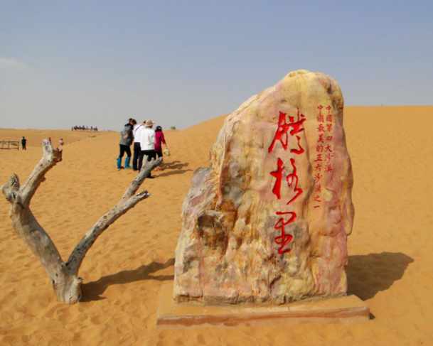 【五一】腾格里沙漠:中国四大沙漠之一,行走在沙漠复地的体验,看中国